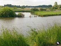 De Linge bij Kedichem