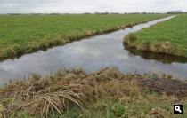Langs de Hollandse Kade