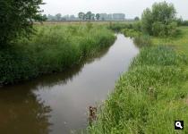 De Kleine Aa