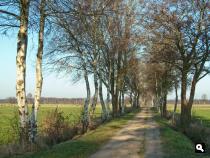 Ligtenbergerveld