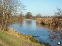 De Regge