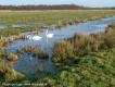 Naardermeer