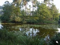De Vughtse Lunetten