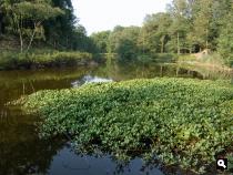 De Vughtse Lunetten