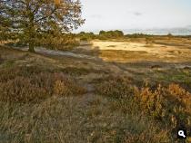 Wekeromse Zand
