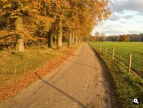 Wekeromse Zand