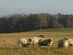 Trage Tocht Exloo 2