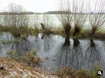 Bij de Oude Holleweg