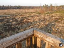 Natuurreservaat