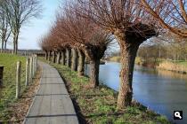 Langs de bekende Knotwilgjes
