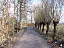 de Snijdersteeg