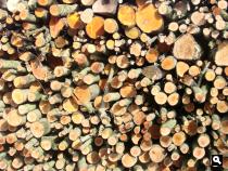 Hout langs de Snijdersteeg