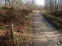 Oosterbargerbos, veenpad