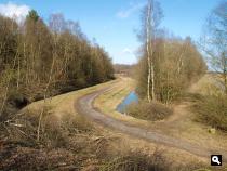 Oosterbargerbos, veenpad