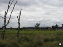 Kootwijkwandeling