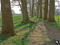  Landgoed Bruggenbosch