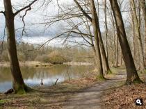 Vijverberg