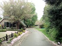 Huis in Drie