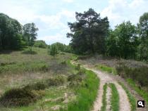 Meinweg