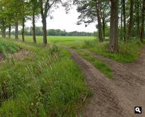 Bekmansdijk