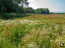 Kaapduinen 1 Kaapduinen 1