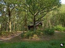 Brachterwald schuilhut