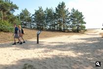 Kootwijkerzand 2