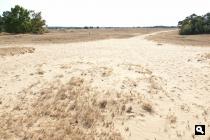 Kootwijkerzand 1