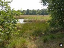 Kootwijkerveen