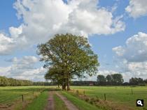 Het Zaaibroek