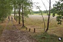 Helvoirtse Heide