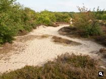 Gasterse Duinen