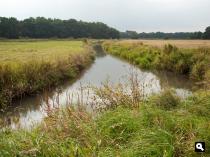 Drentse AA