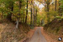 Holle weg