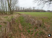 IJzeren Bos, rand
