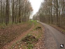 IJzeren Bos