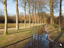Baarnse Bos