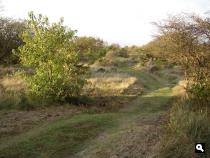 Duinvallei