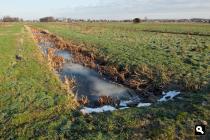 Ruigenhoekse polder