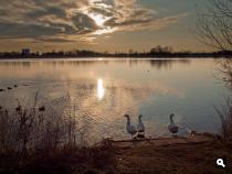 Hoogekampse plas