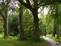  Landgoed Backershage