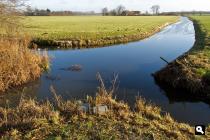 Duivenvoordse polder