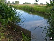 Veenzijdse polder