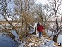 De Horsten in de winter