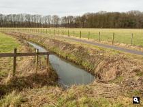 Polder Buitenweg