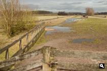Polder Buitenweg
