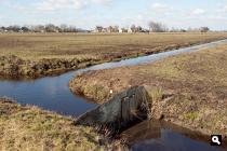 Poppendammer Weeren