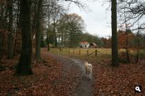 Iets voor Oosterbeek, nov. 2009