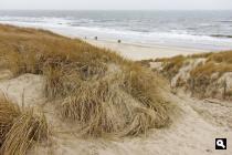 Duin en strand