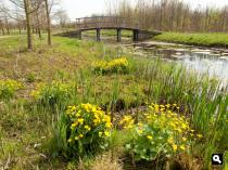  Leidsche Rijn Park 1